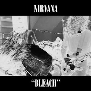 The cover of Bleach